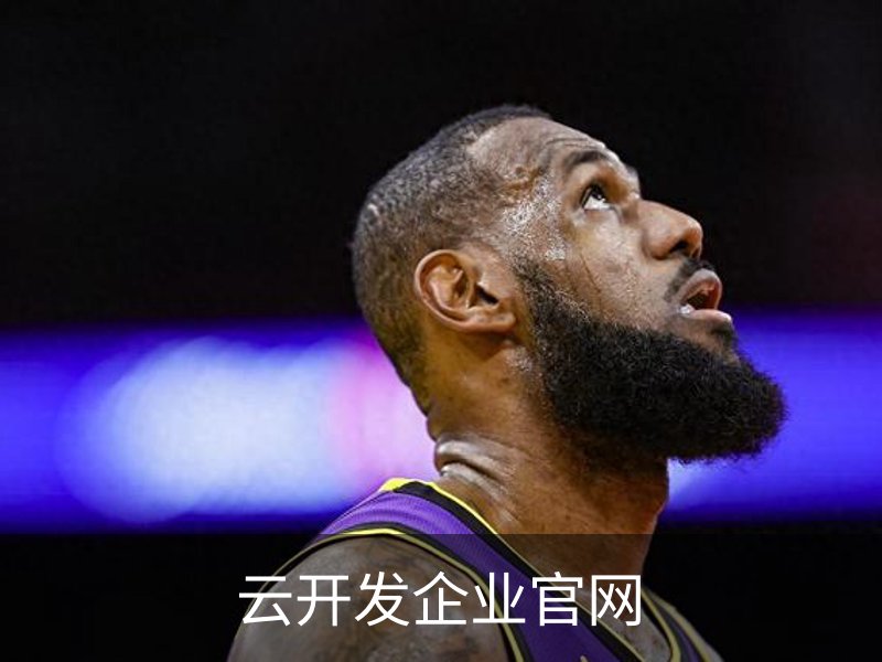 云开发企业官网概况